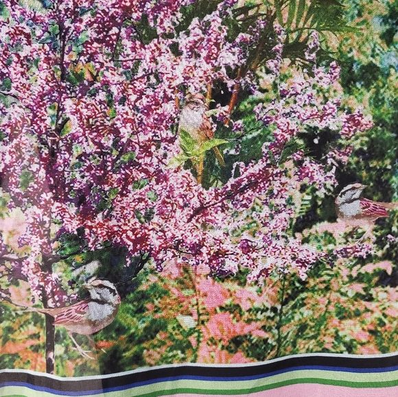 Zara - Sheer Bird and Flower Print Top - Size S - Picture 8 of 9